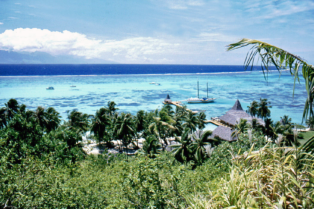 Ile de Moorea